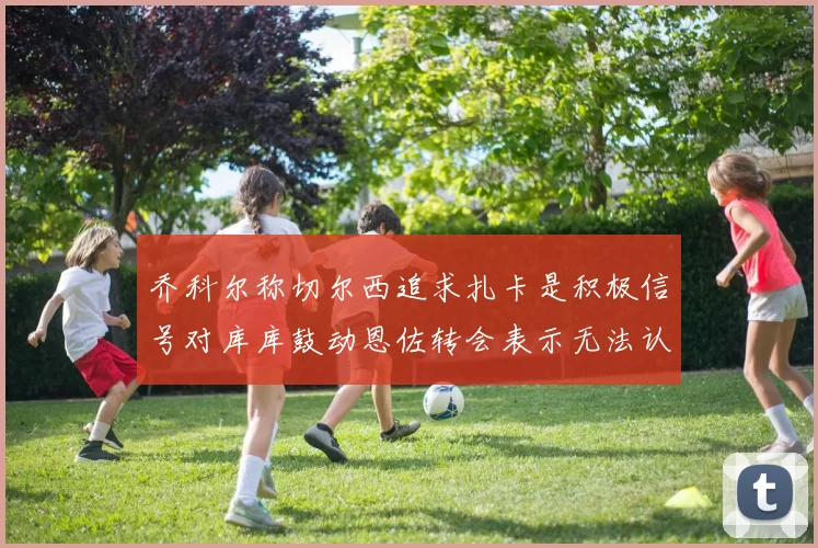 乔科尔称切尔西追求扎卡是积极信号对库库鼓动恩佐转会表示无法认同