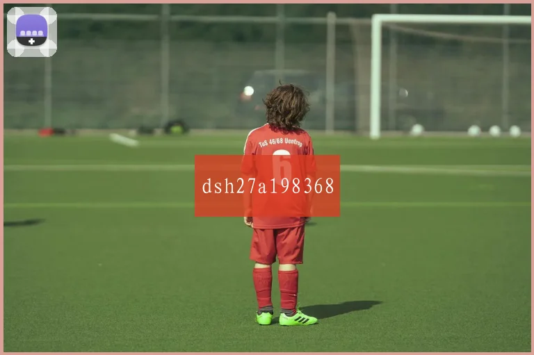 dsh27a198368